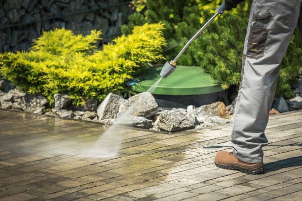 Best Oil Spill Cleanup  in Langley Park, MD
