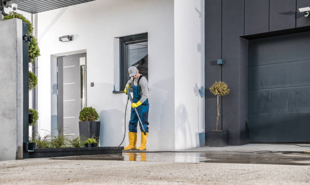 Best Roof Washing  in Langley Park, MD